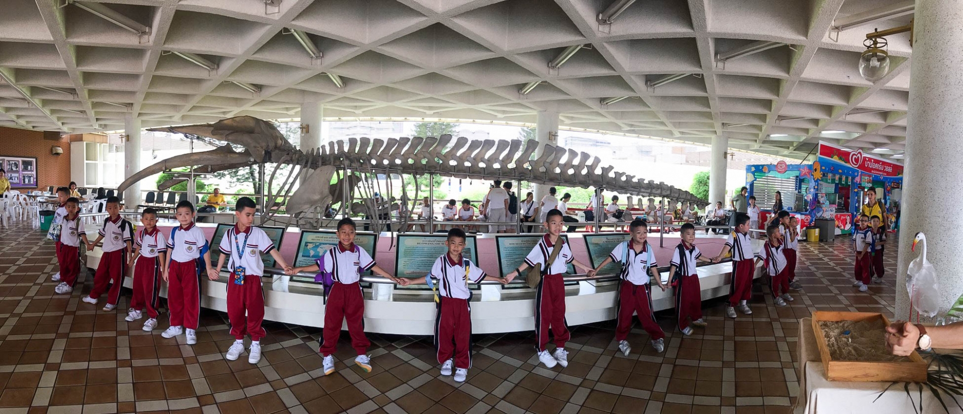 c5d3279570ebc83da57b1c56266035d1a_4620693218530554907_190620_0031