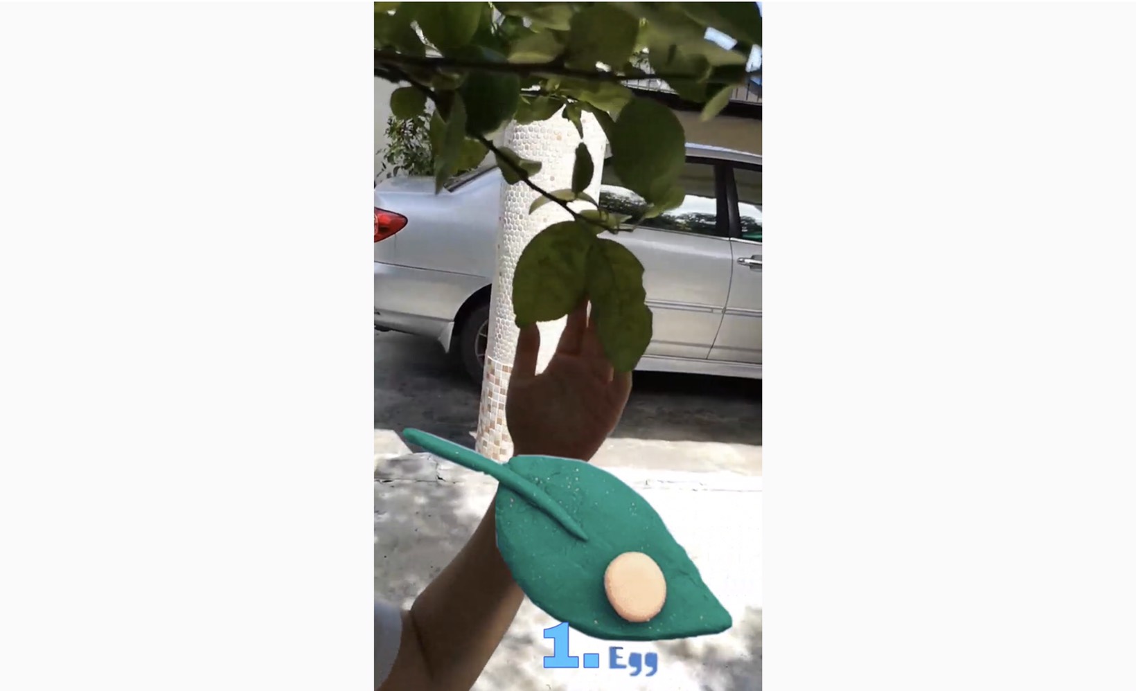 S__13983752