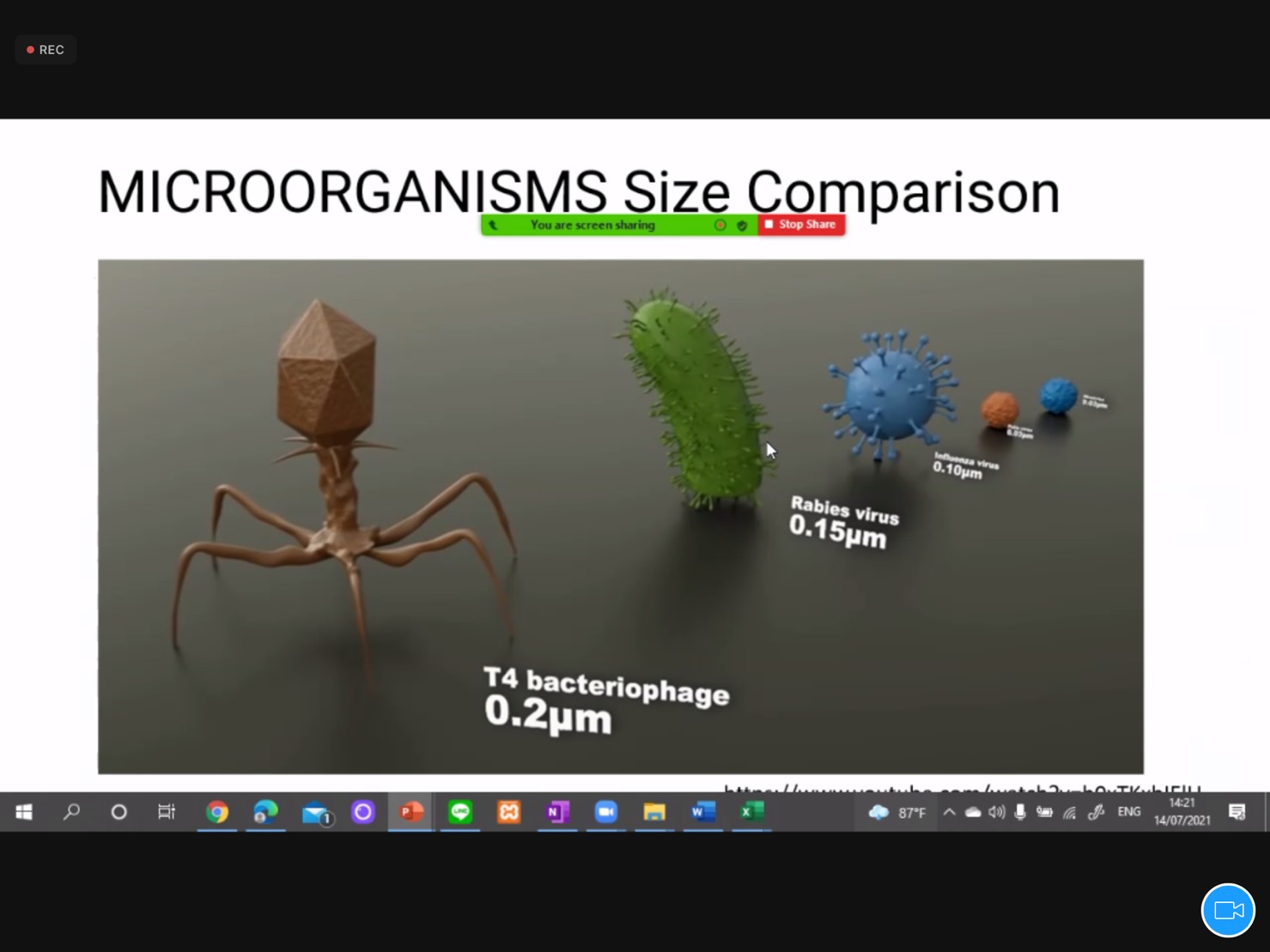 S__13770789