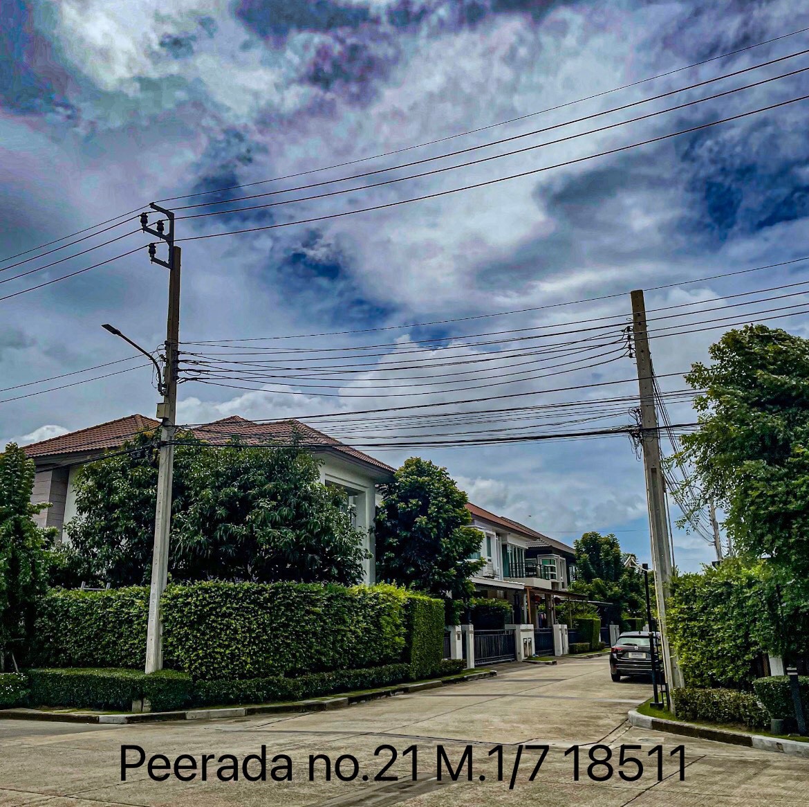 S__26394631