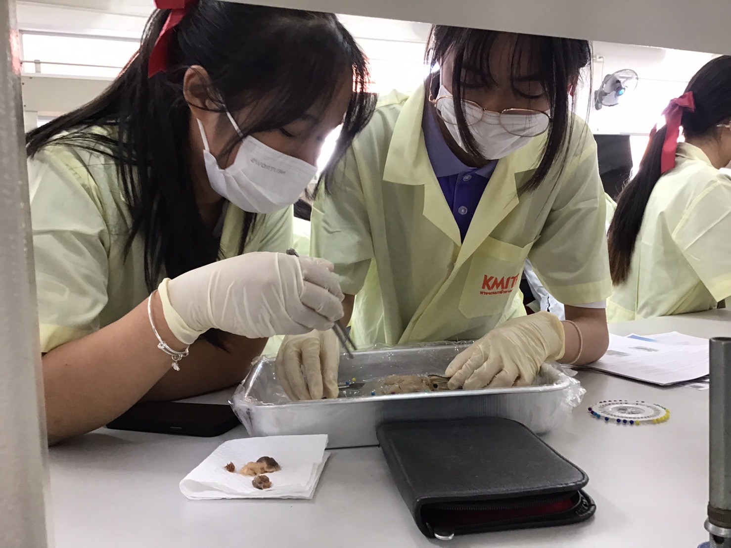LINE_ALBUM_17Nov Trip_231123_27_1