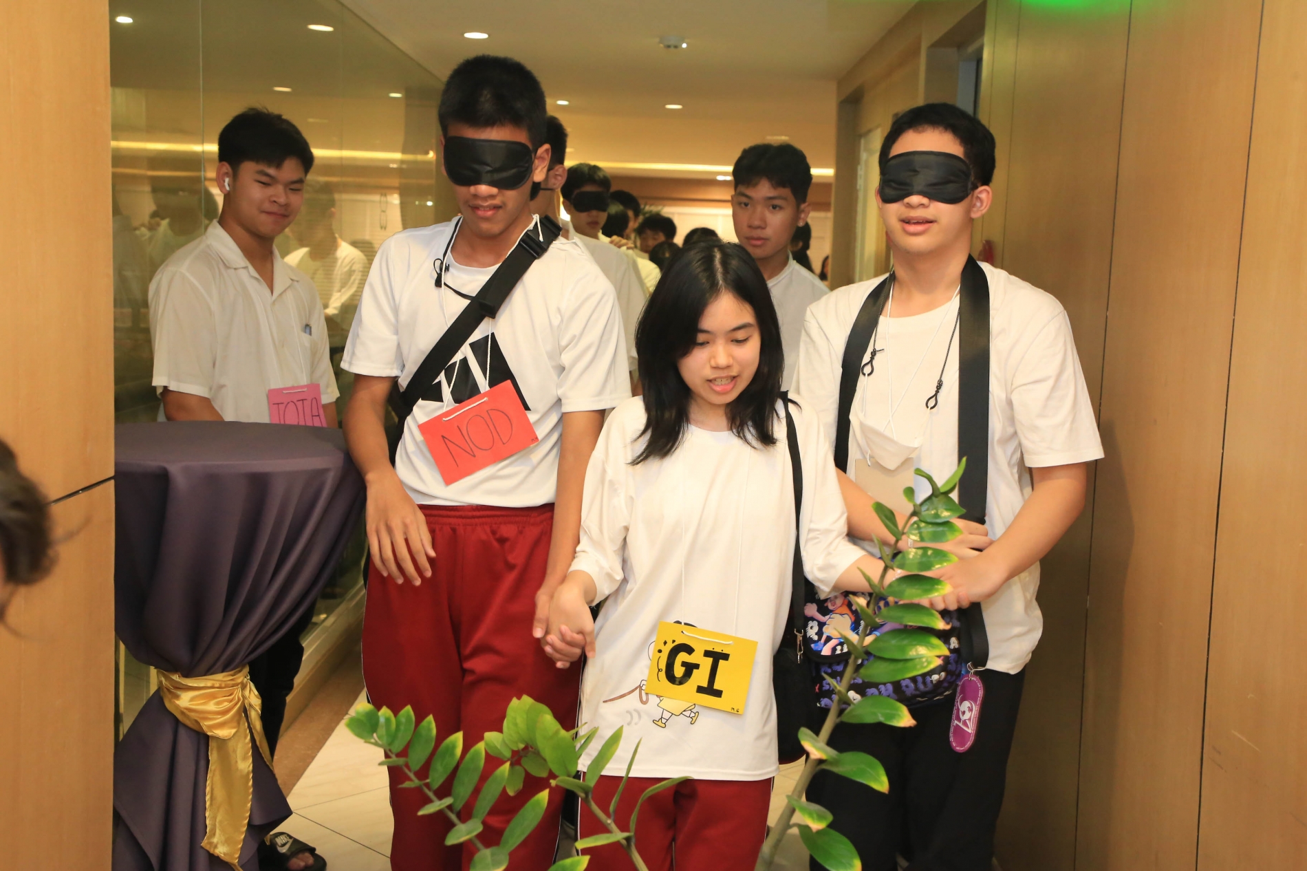 1IMG_6551