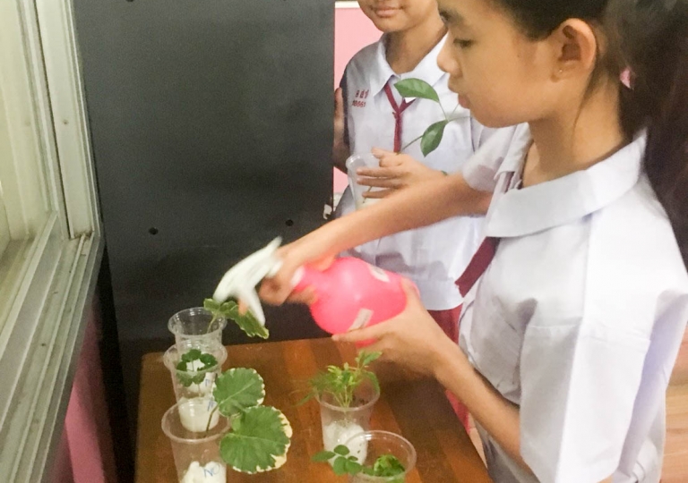 July 5, 2019 Primary 5 students. We've learned about 