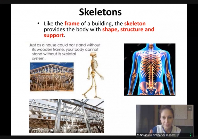 Ms. Narges Rahimipivar, Science teacher, taught Primary 4 learners about the skeletal system of vertebrates. How it is important for the support of the body and for the attachment of muscles and tendons, as well as body movement. 