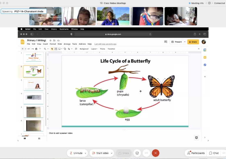 Primary 1 learners enjoyed studying with their teachers about the Life cycle of living things. They started with a discussion and end it with a fun and exciting game to assess their knowledge and understanding about the topics taught.