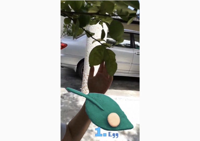 S__13983752