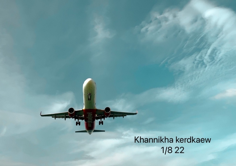 S__26394633