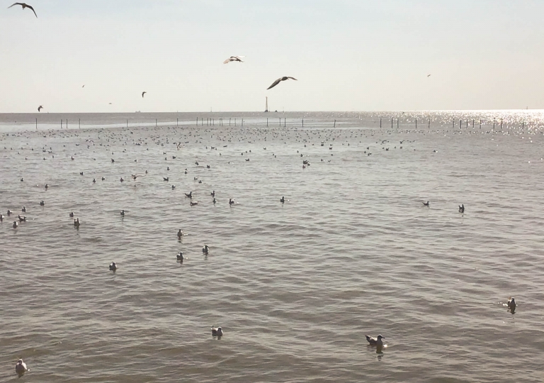 LINE_ALBUM_221104_62