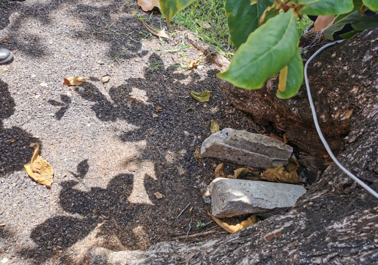 LINE_ALBUM_220621_31