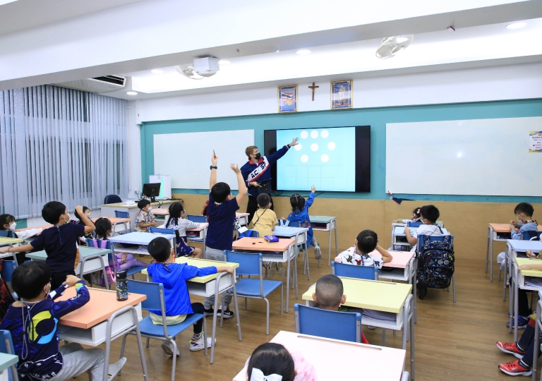 Primary: Finding the Intruder and Plastic Models