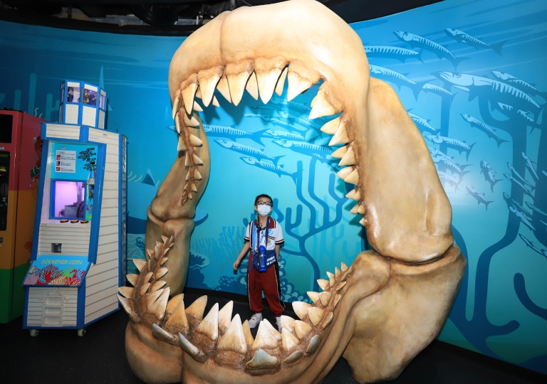 Sea Life Bangkok Ocean World – Primary 1 learners exhausted their energy having fun on the educational field trip on 3 November 2022. This was organized by the school together with Sea Life Bangkok Ocean World.