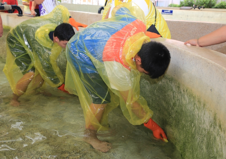 On 12-14 November 2023, the English Program Discipline department held the annual EP Team Harmony Camp for Secondary 4-6 students. 